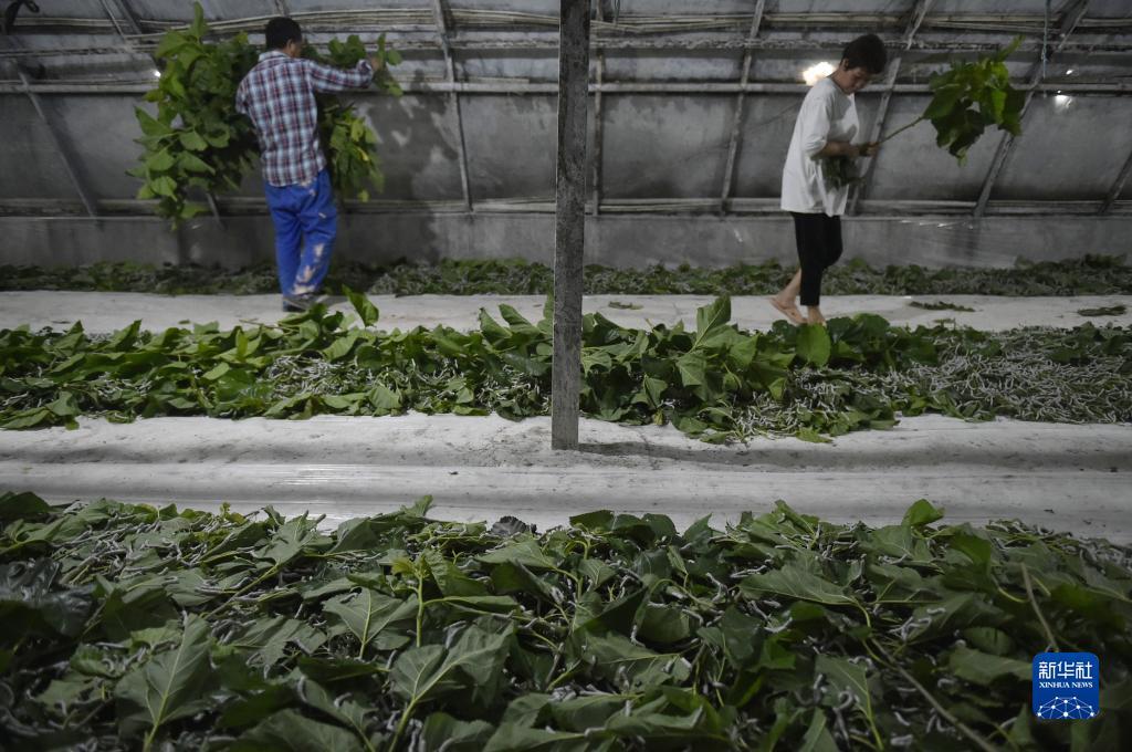 巴黎人网投正网